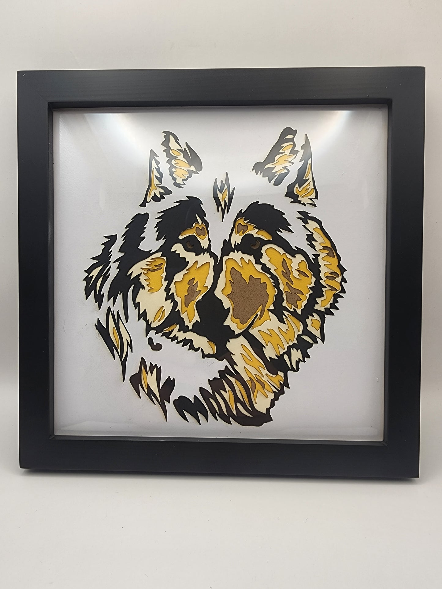 Wolf's Head Shadowbox