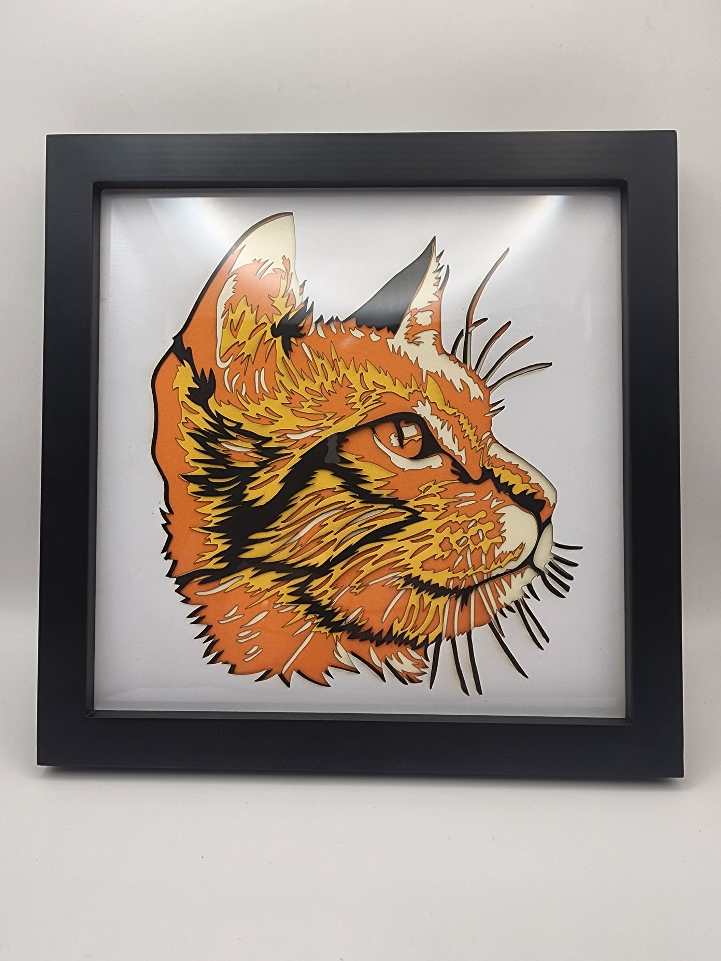 Cat's Head Shadowbox