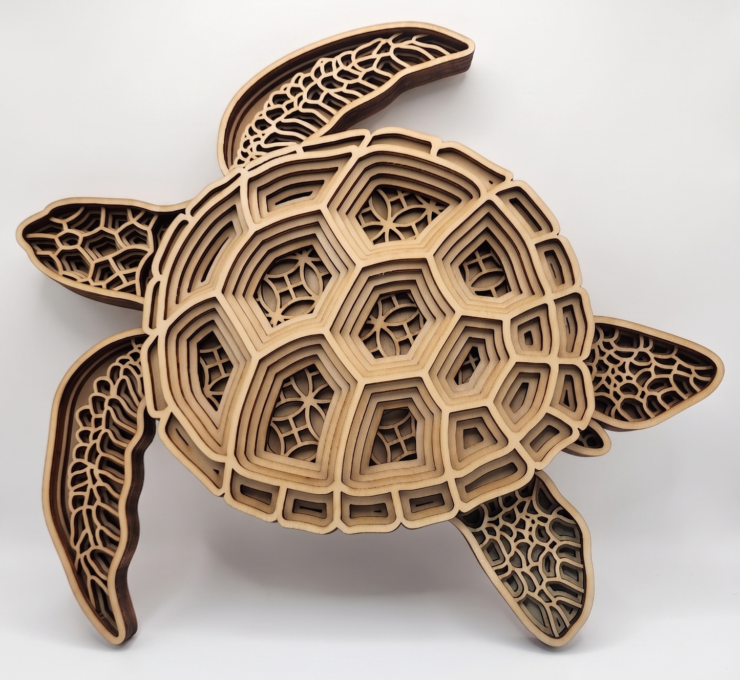 Large Sea Turtle